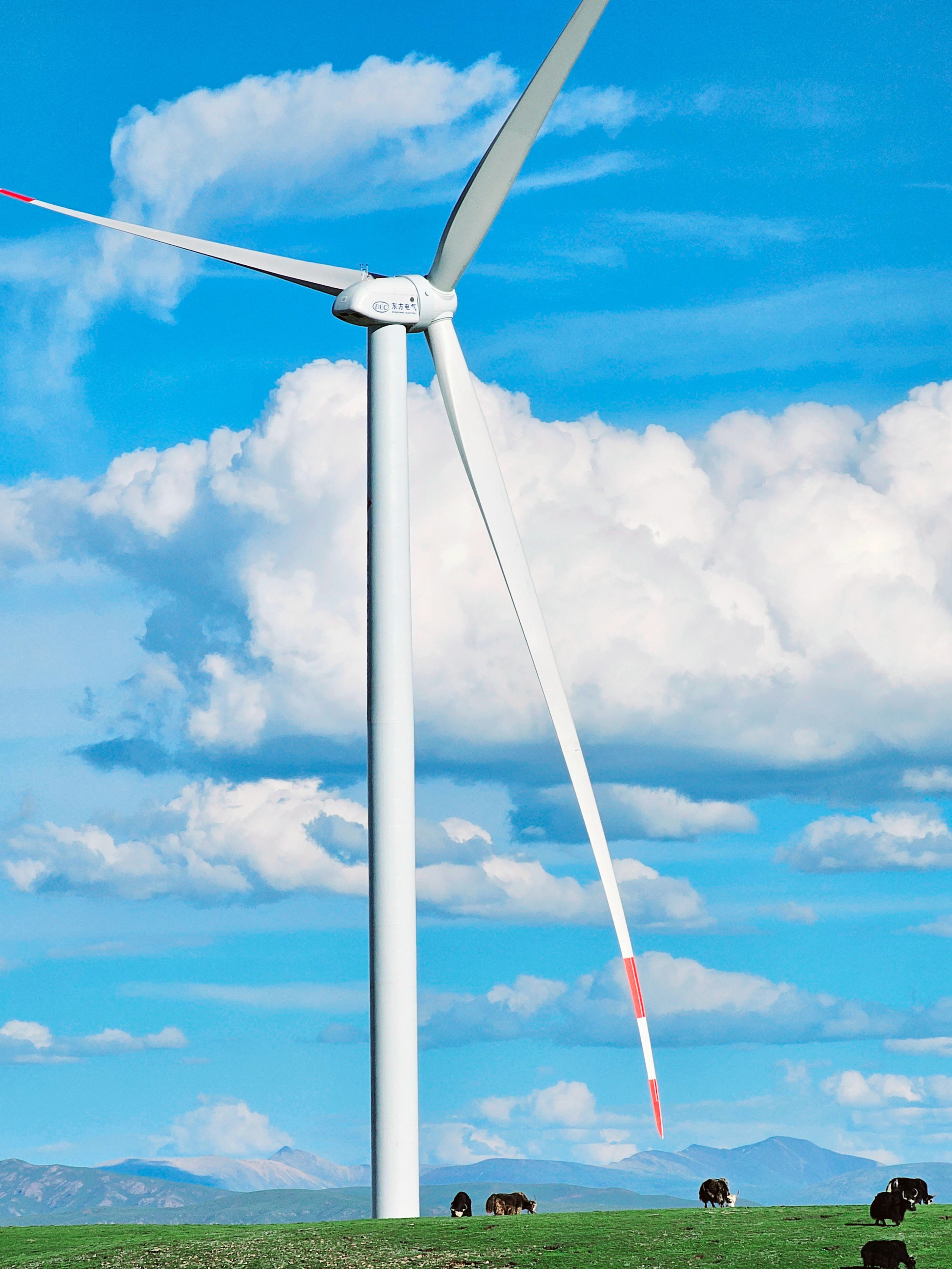 尊龙凯时人生就是博·「中国」官方网站