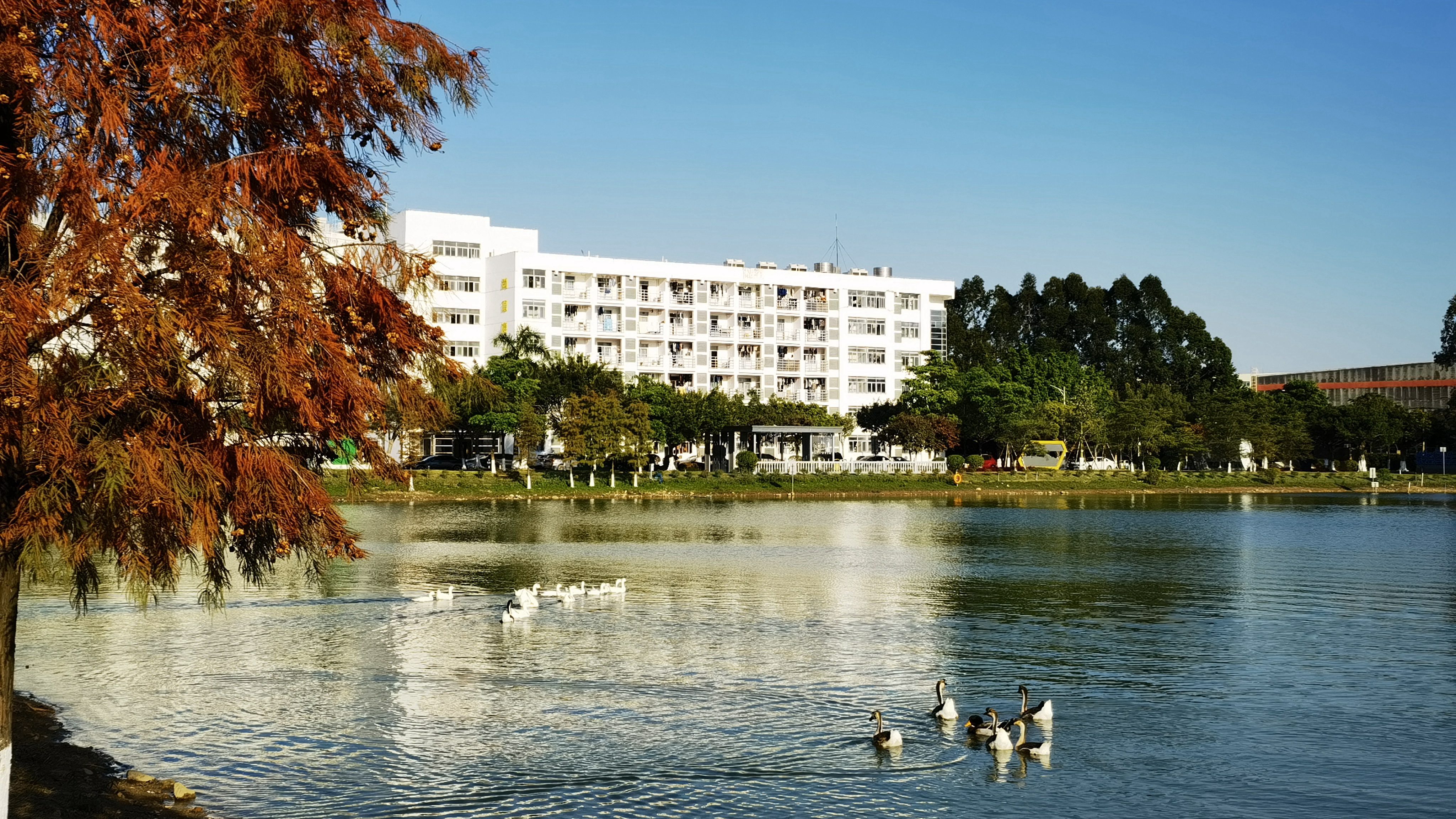 尊龙凯时人生就是博·「中国」官方网站